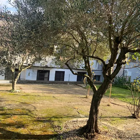 Eden. La Casa Di Claudia * Ronciglione (Viterbo)