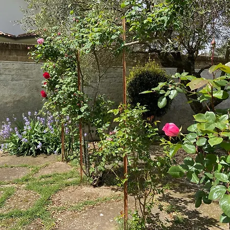 Eden. La Casa Di Claudia Ronciglione (Viterbo)